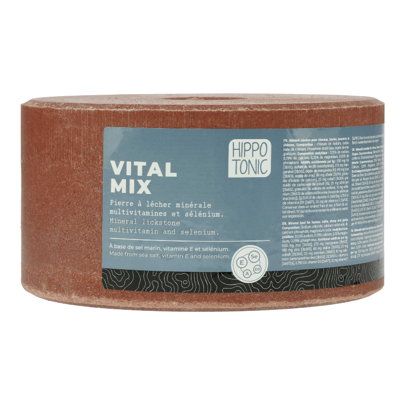 Hippotonic - Pierre à sel Vitalmix 3kg | - Ohlala