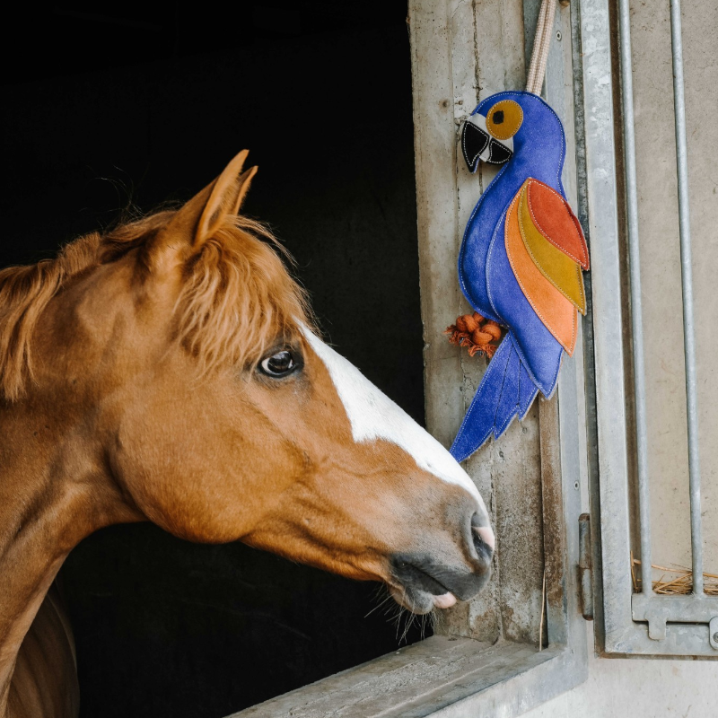 Hippotonic - Blue Parrot Horse Toy