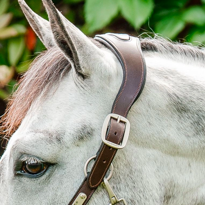 Horseware - Signature Braided Horse Halter brown/navy/blue haze | - Ohlala
