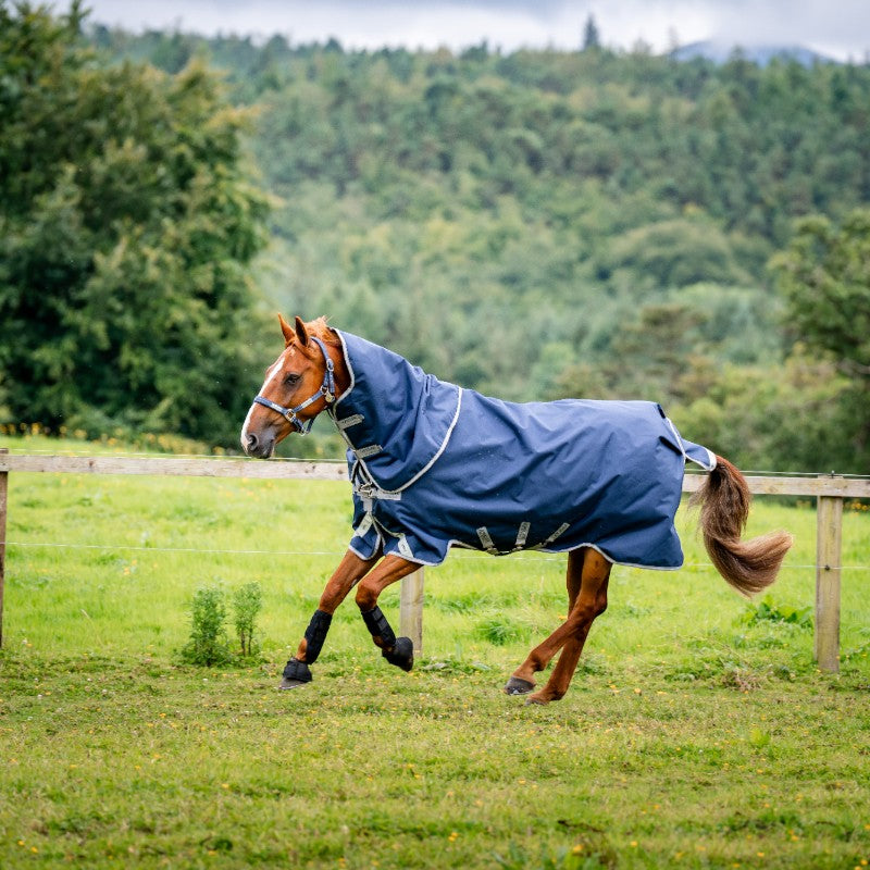 Horseware - Coperta da esterno Amigo Bravo 12 Plus blu marino/ titanium grigio/ argento 250g | - Ohlala