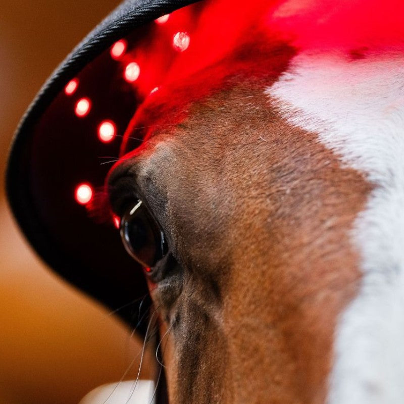 Horseware - Red LED light therapy ear bonnet | - Ohlala