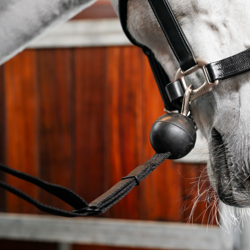 Horseware - Schwarze Quiet Drop Sicherheitsanbinder (x2)