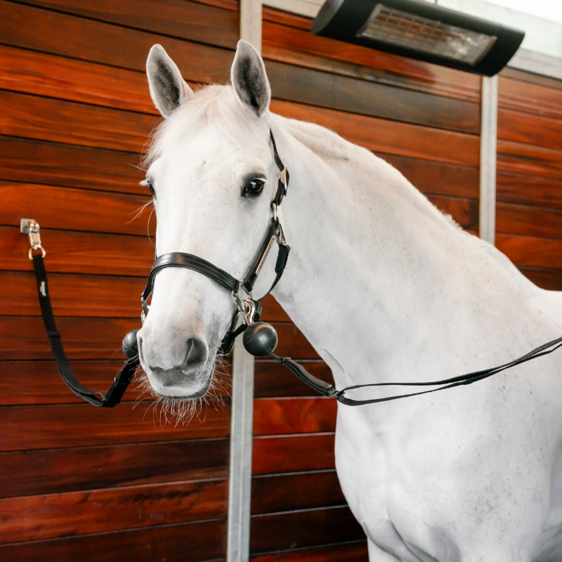 Horseware - Schwarze Quiet Drop Sicherheitsanbinder (x2)