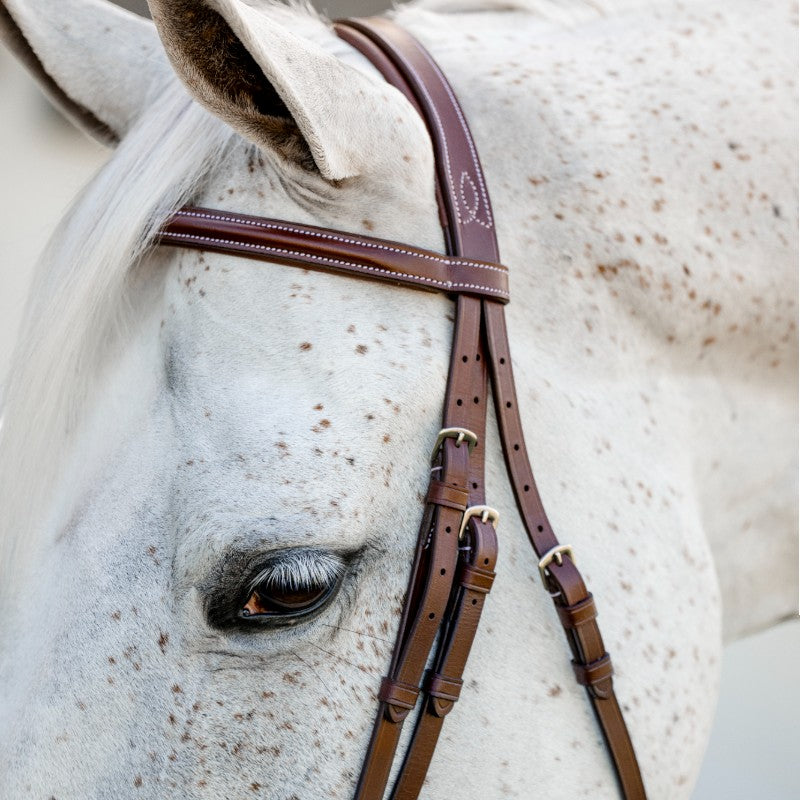 Horseware - Cavezza Cavesson Hunter Pony con redini dark tan | - Ohlala