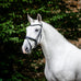 Horseware - Bridon Dressage Flash noir | - Ohlala