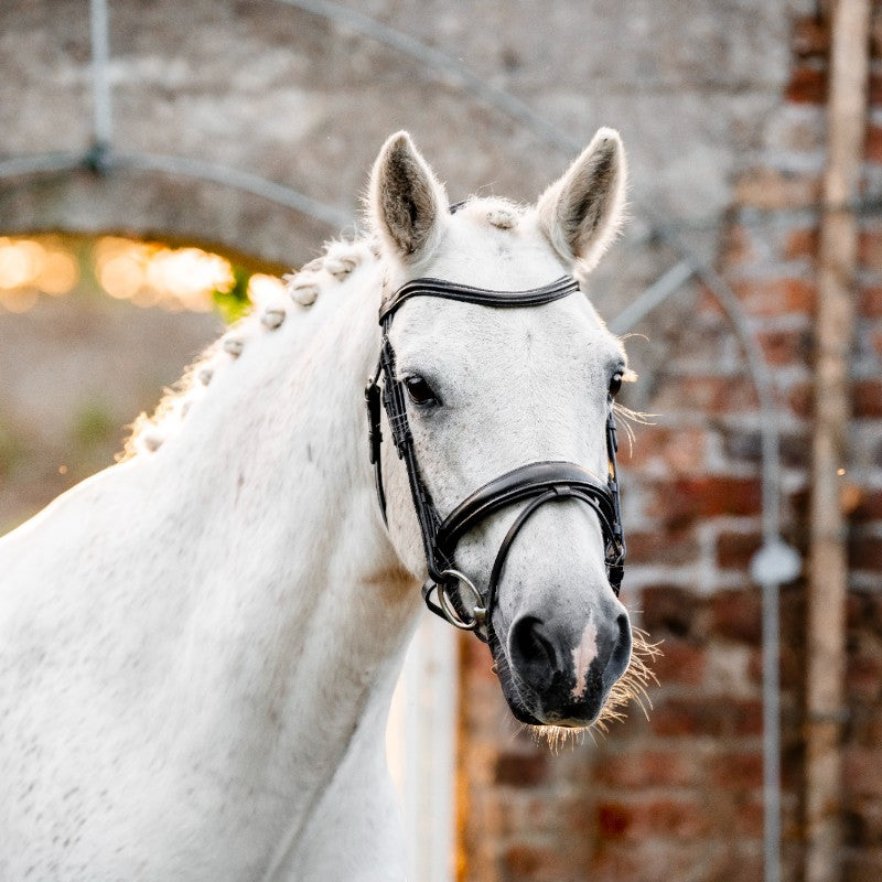 Horseware - Bridon Dressage Pony Flash noir | - Ohlala