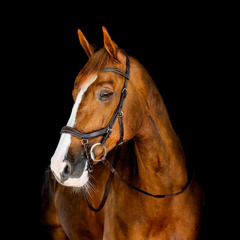 Horseware - Bridon Micklem Competition dark havane | - Ohlala