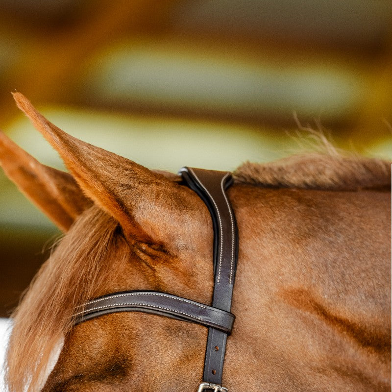 Horseware - Bridon Micklem Competition dark havane | - Ohlala