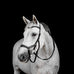 Horseware - Bridon Micklem Deluxe Competition noir | - Ohlala