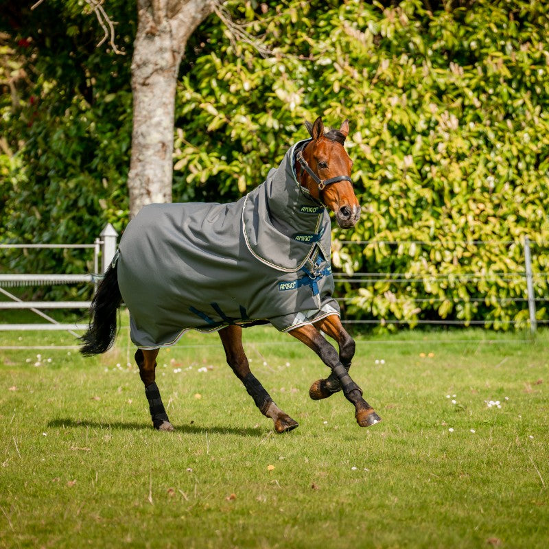 Horseware - Amigo Bravo 12 Plus Turnout Rug shadow/ navy/ lime 250g | - Ohlala