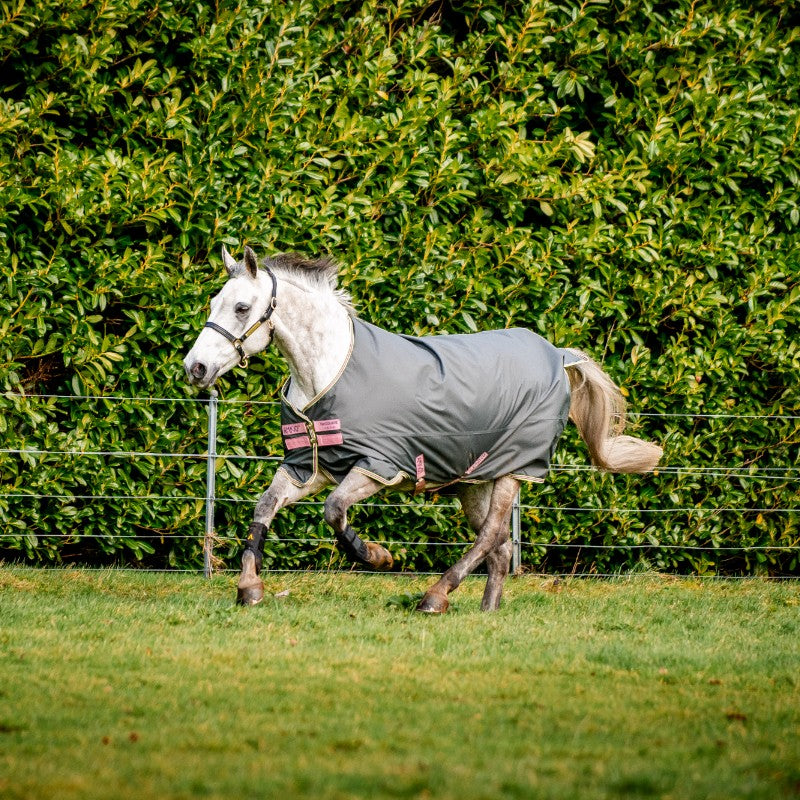 Horseware - Amigo Hero Ripstop Turnout Rug shadow/ rose/ navy 0g | - Ohlala