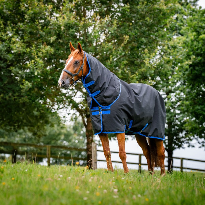 Horseware - Amigo Ripstop 900 Plus Turnout Rug black/ classic blue 200g | - Ohlala