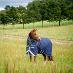 Horseware - Rhino Plus Turnout Rug navy/ titanium grey/ classic blue 450g | - Ohlala