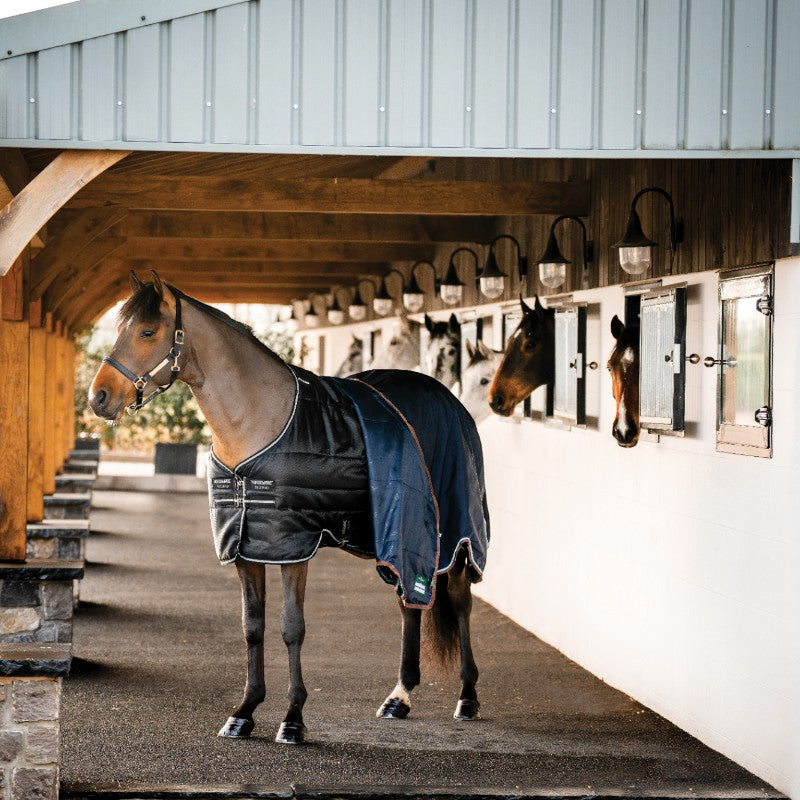 Horseware - Couverture de box Easy-Layer Stable noir et silver 200g | - Ohlala