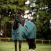 Horseware - Coperta da esterno Amigo Ripstop Pony Turnout dynasty/ marine/ argent 200g | - Ohlala