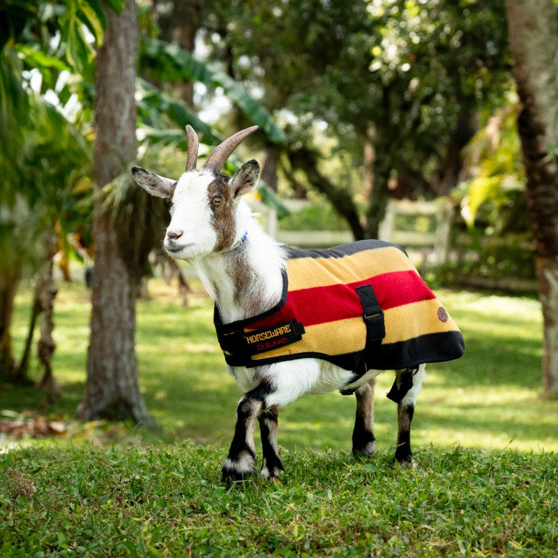 Horseware - Newmarket witney gold goat fleece rug | - Ohlala