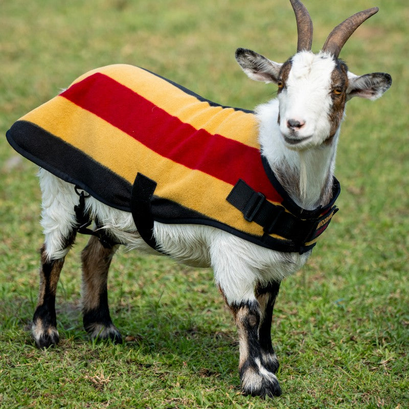 Horseware - Newmarket witney gold fleece rug for goats | - Ohlala
