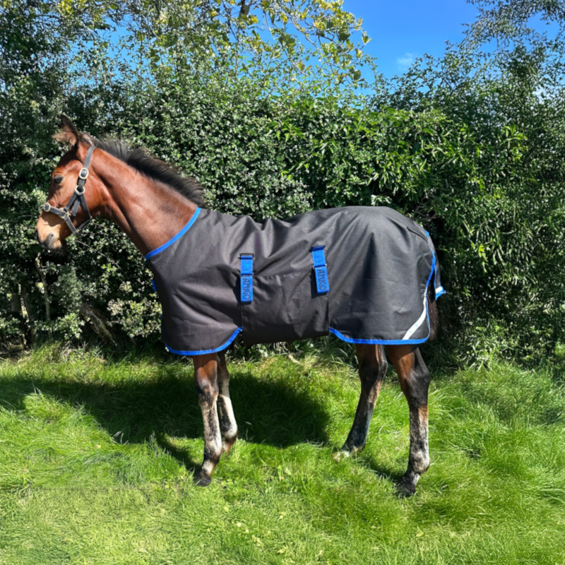 Horseware - Derka zewnętrzna Amigo Ripstop Foal Turnout czarny/ classic blue 200g