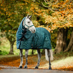 Horseware - Halsabdeckung Stalldecke Amigo Ripstop Insulator dynasty green/ marine/ silber 200g | - Ohlala