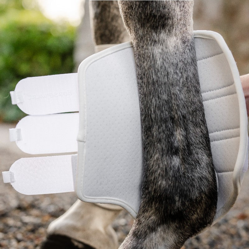 Horseware - Guêtres ouvertes Classic blanc | - Ohlala