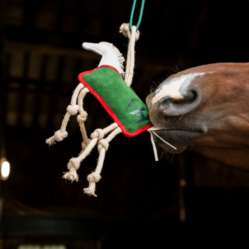 Horseware - Jouet pour chevaux Stable Toy blanc/ vert