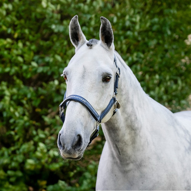 Horseware - Grooming Headcollar Navy | - Ohlala