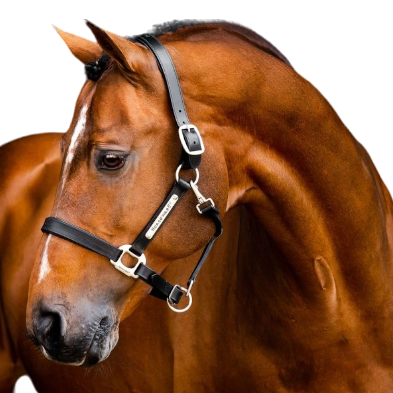 Horseware - Signature Leather Halter black | - Ohlala