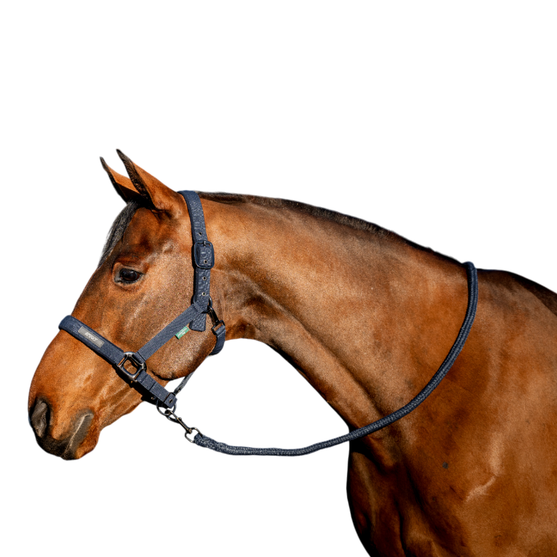 Horseware - Amigo navy halter and lead rope | - Ohlala