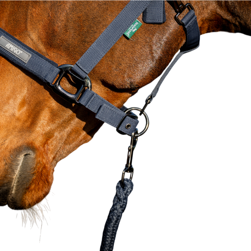 Horseware - Capezza e longhina Amigo marine | - Ohlala