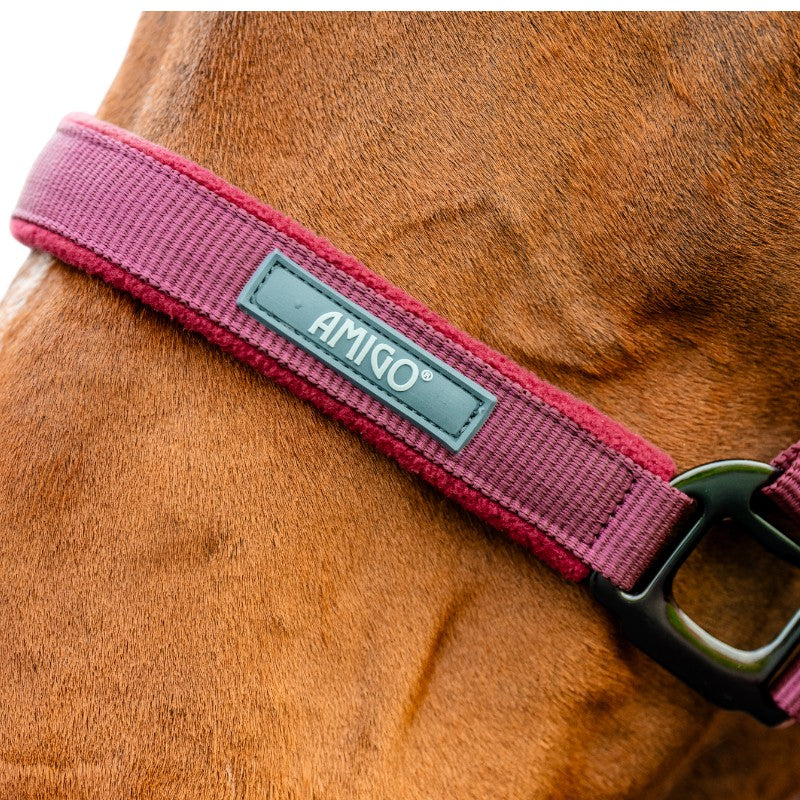 Horseware - Licol i uwiąz Amigo mulberry | - Ohlala