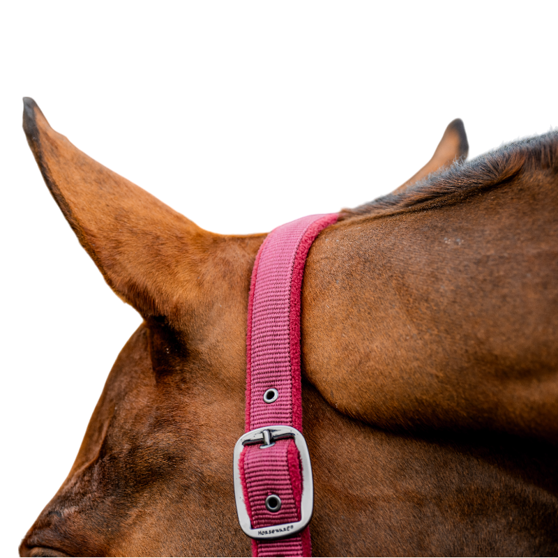 Horseware - Kantar z uwiązem Amigo mulberry | - Ohlala