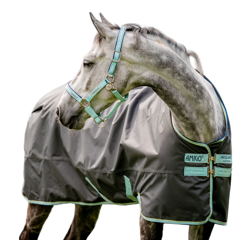 Horseware - Field Safe Grazing Halter blue haze | - Ohlala