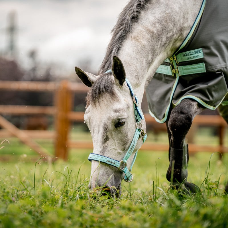 Horseware - Field Safe Grazing Halter Blue Haze | - Ohlala