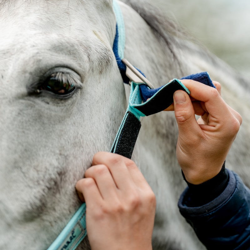Horseware - Field Safe Grazing Halter Blue Haze | - Ohlala