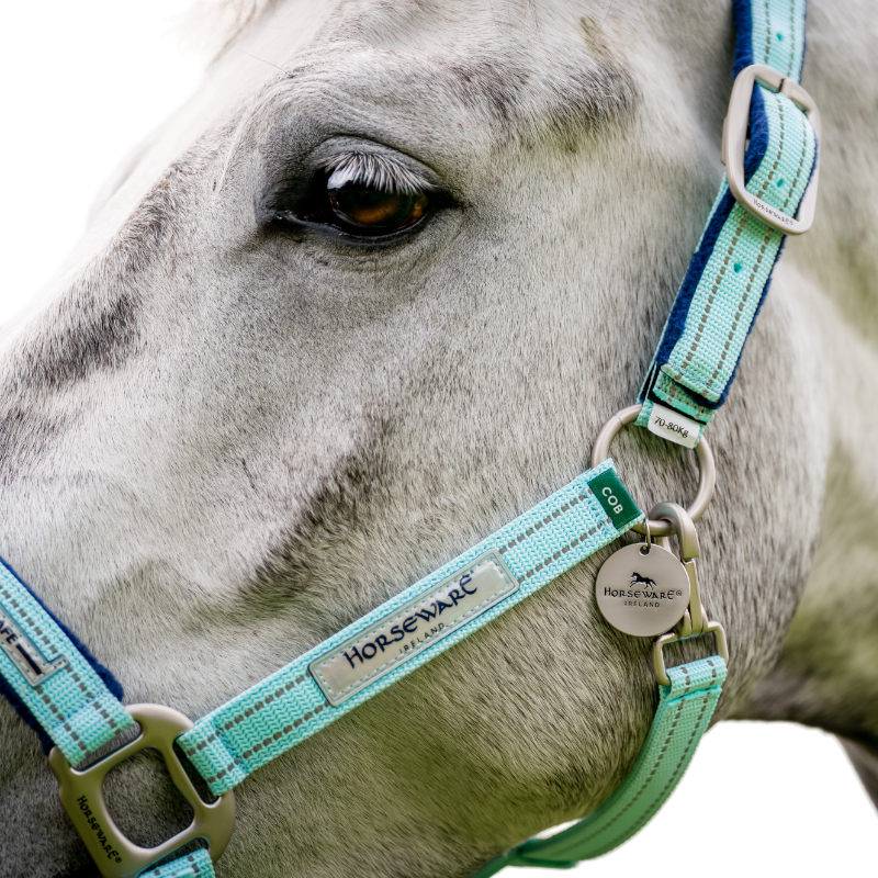 Horseware - Field Safe grazing halter blue haze | - Ohlala