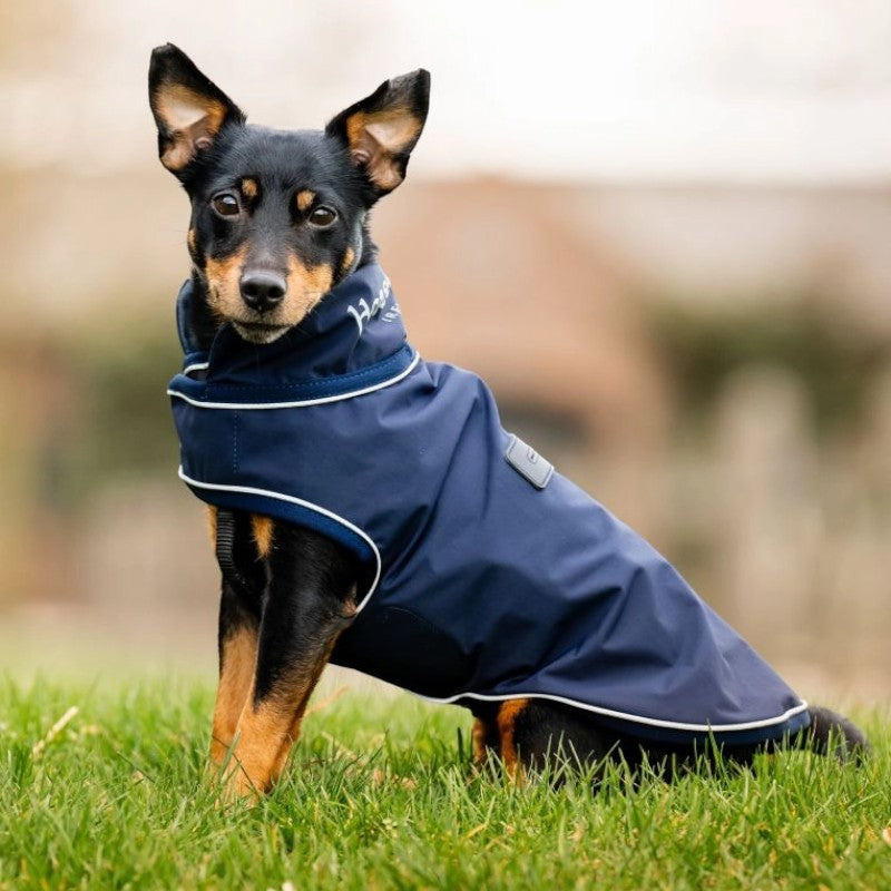 Wasserdichter Hundemantel Signature Marineblau Horseware