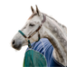 Horseware - Licol pour chevaux Signature Tressé marron/ marine/ hunter green | - Ohlala