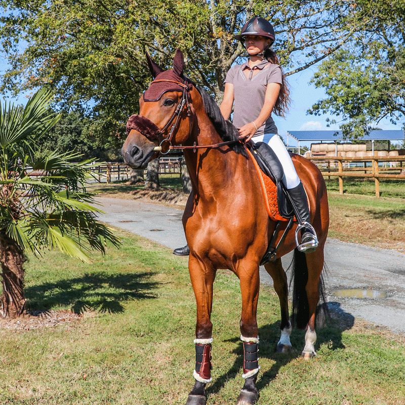 Kentucky Horsewear - Brązowa osłona naczółka | - Ohlala