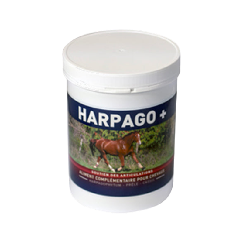 Greenpex - Joint support dietary supplement Harpago + | - Ohlala