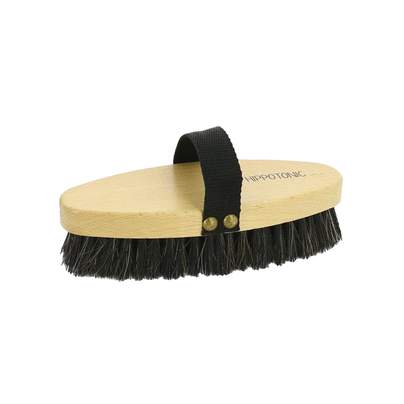 Hippotonic - Varnished soft brush | - Ohlala