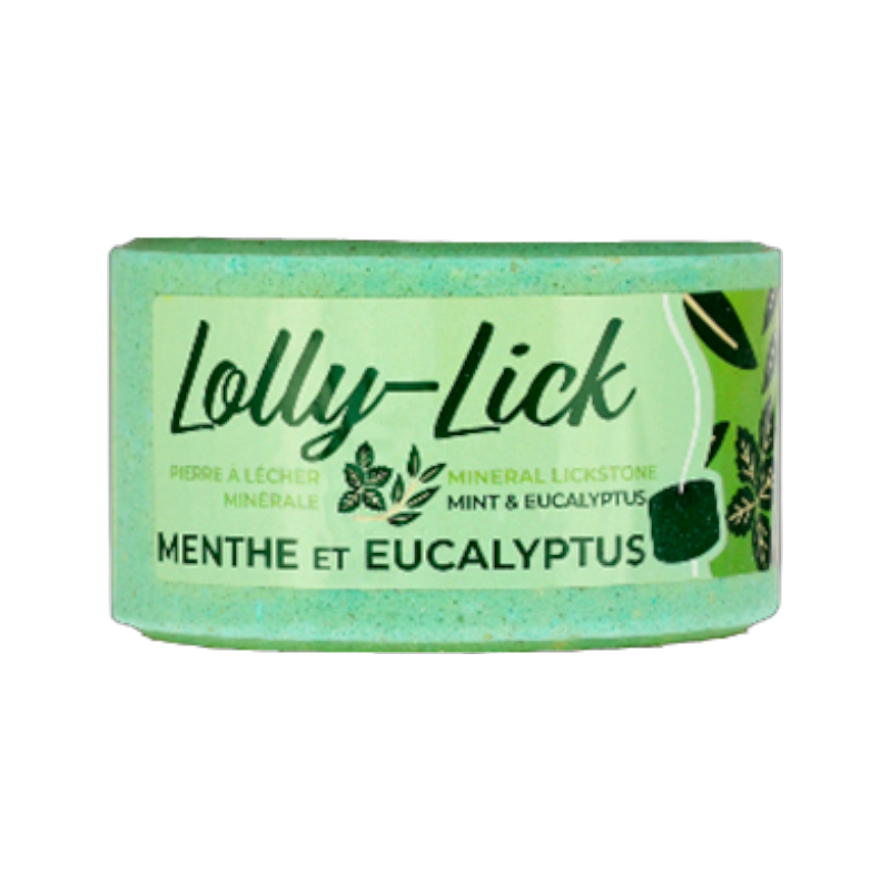 Hippotonic - Pierre à sel Lolly-Lick menthe eucalyptus 700g | - Ohlala