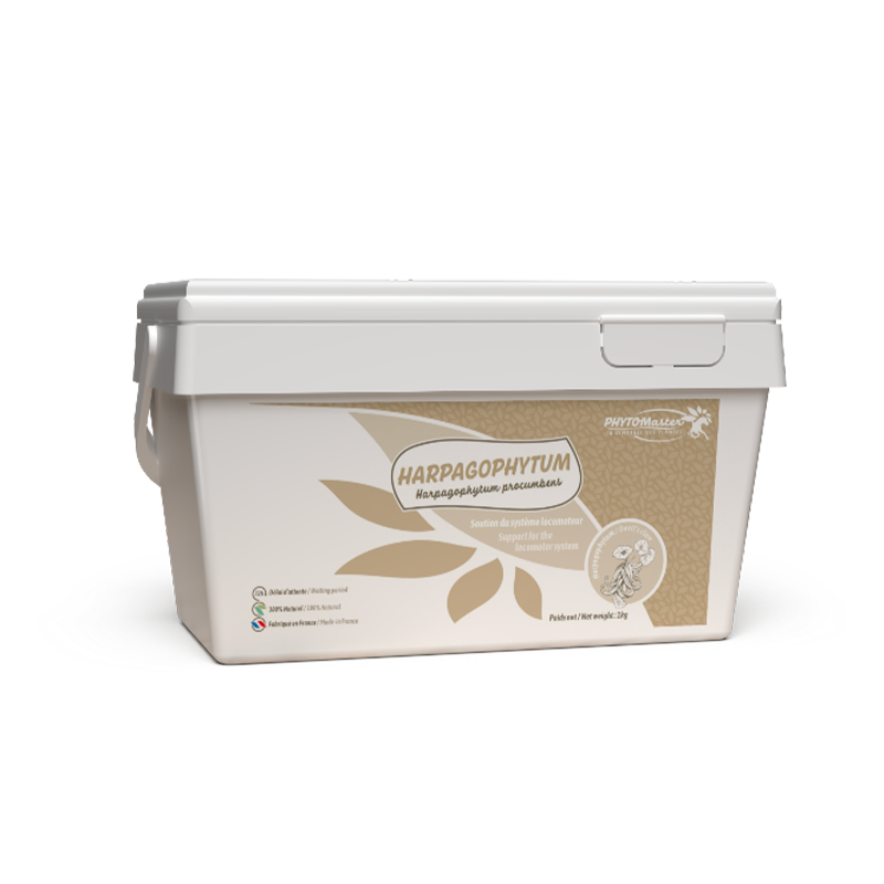 PhytoMaster - Pure Harpagophytum Joint Flexibility Supplement | - Ohlala