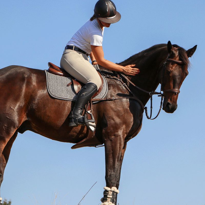 Horse Pilot - Damskie spodnie jeździeckie X-Design hunter | - Ohlala