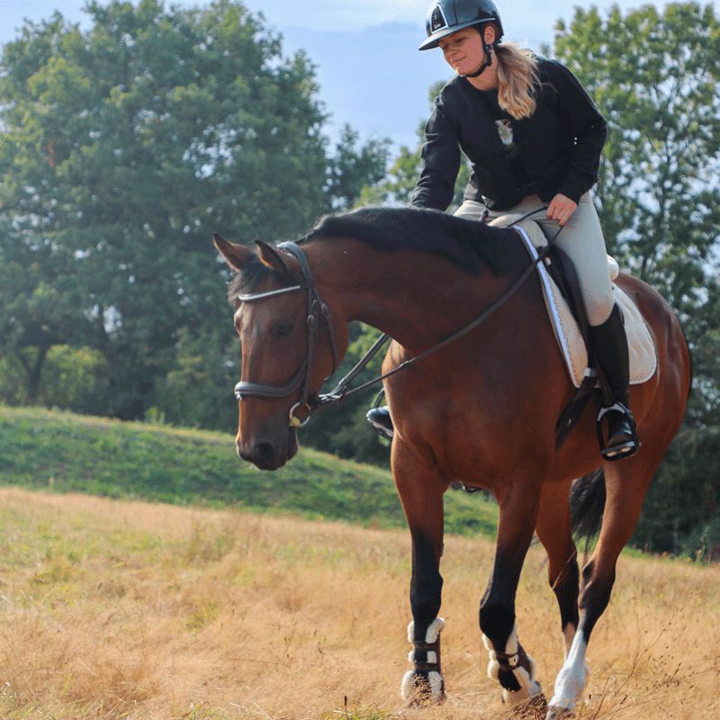 Horse Pilot - Damskie spodnie jeździeckie X-Design hunter | - Ohlala