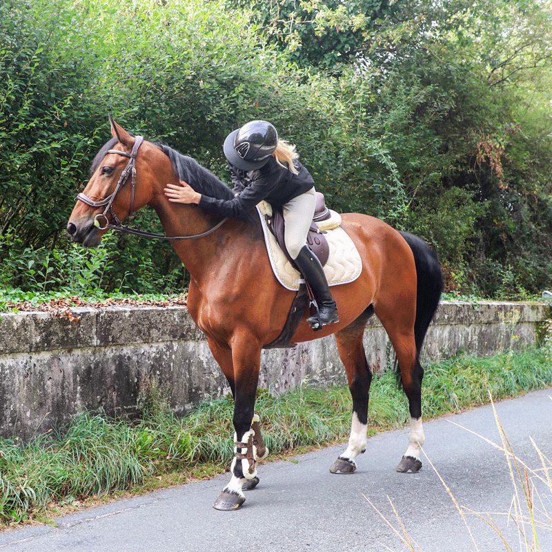 Horse Pilot - Damskie spodnie jeździeckie X-Design hunter | - Ohlala