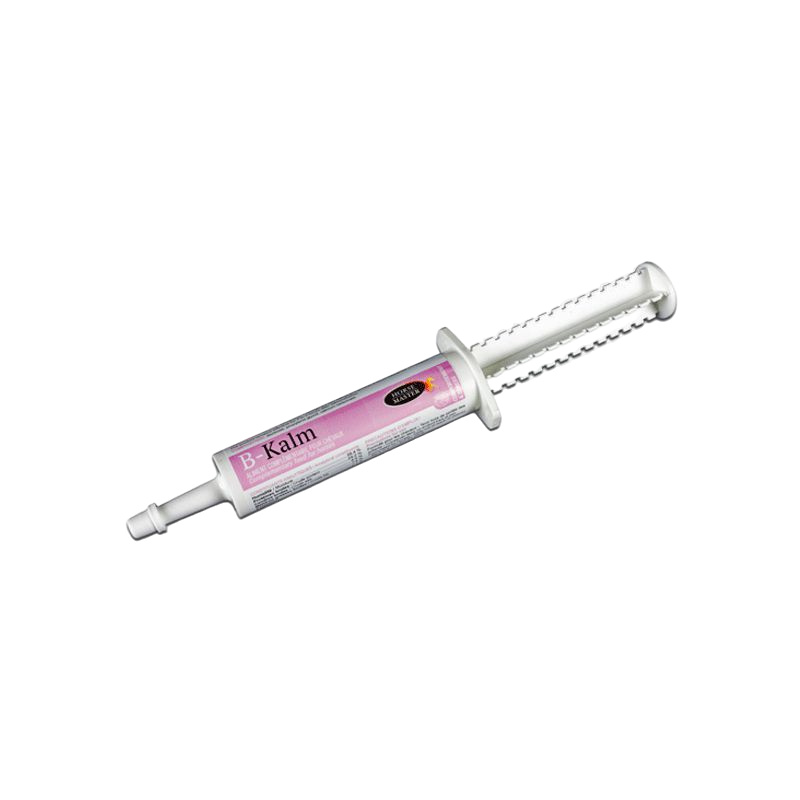 Horse Master - Concentrated syringe food supplement of L-Trytophane B-Kalm