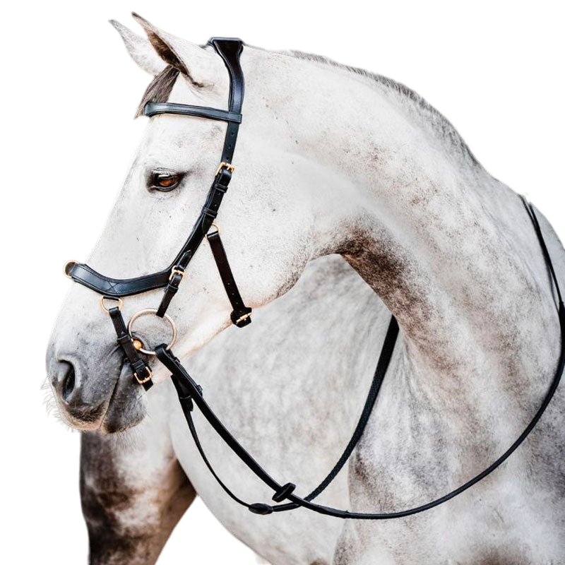 Horseware - Ogłowie Micklem 2 multibride czarne | - Ohlala
