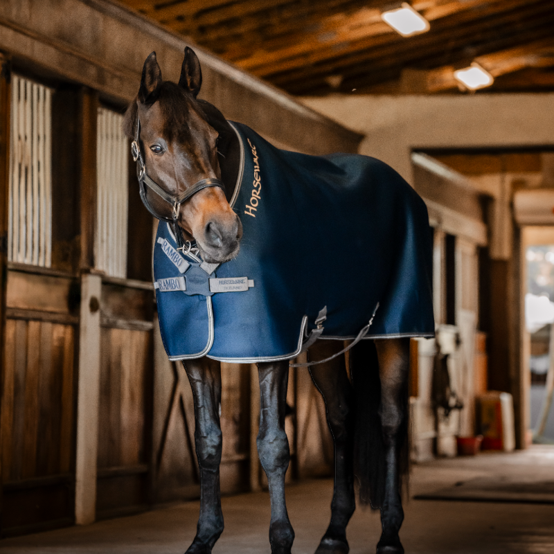Horseware - Rambo Airmax Cooler Wicking Sheet Navy/ Thunderstorm Grey/ Silver | - Ohlala