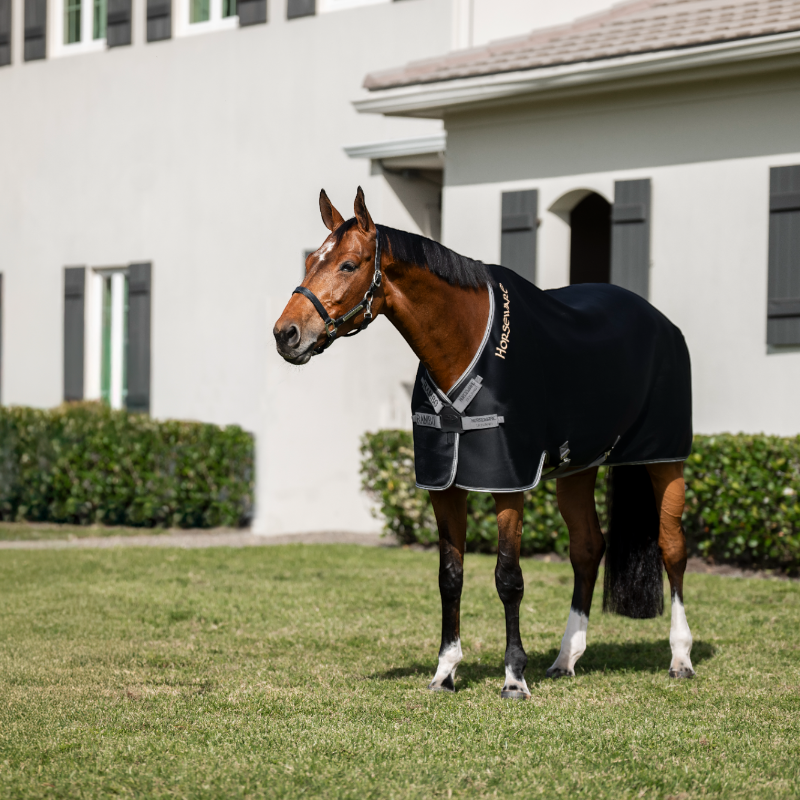 Horseware - Rambo Airmax Cooler Wicking Sheet Black / Thunderstorm Grey / Silver | - Ohlala