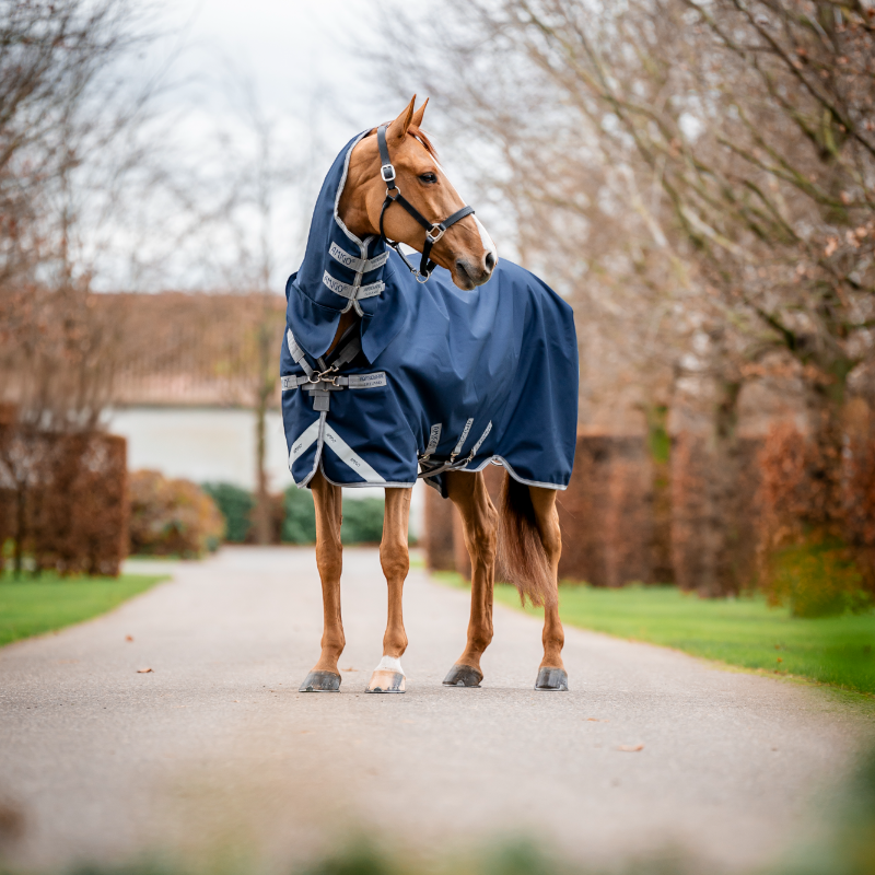 Horseware - Amigo Bravo Integrated Turnout Outdoor Rug navy/ titanium grey/ silver 50g | - Ohlala
